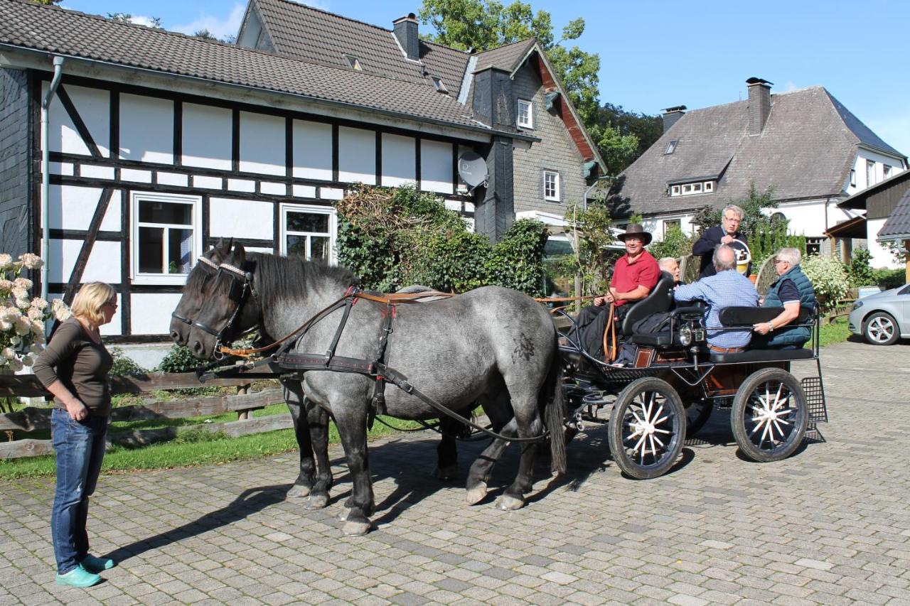 Mollseifer Hof Winterberg